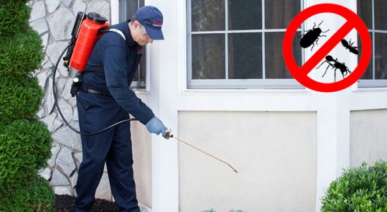Akçaabat Hamam Böceği İlaçlama böcek ilaçlama ve haşere kontrolü — ilaclama-tr.com